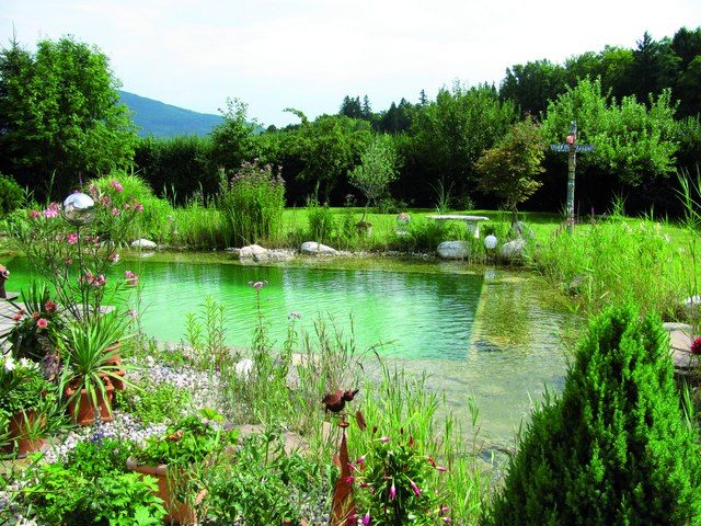 Kleingarten Pool - biologische Wasseraufbereitung