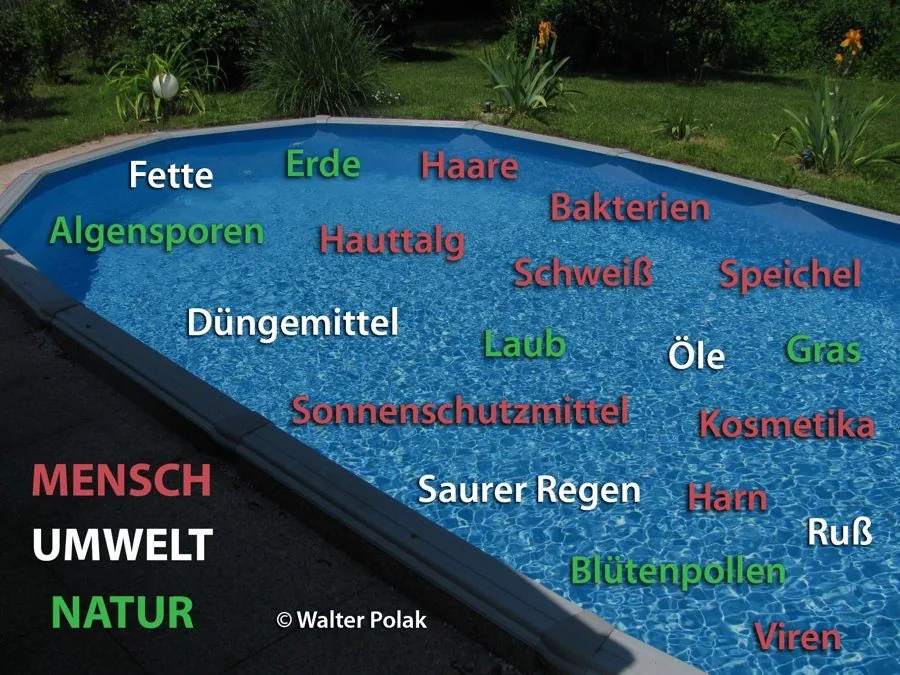 Was alles ins Poolwasser gelangt - Mensch, Umwelt, Natur